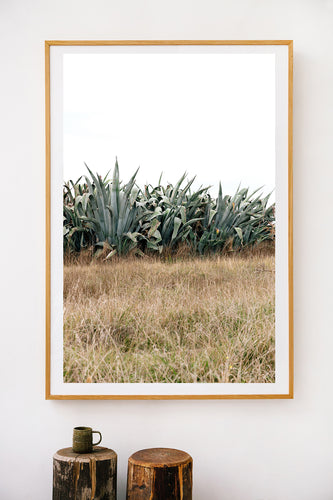 Pampa - AU