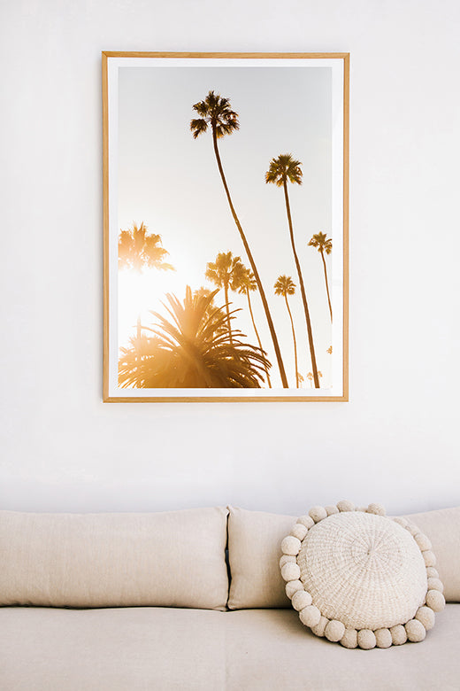 California #9