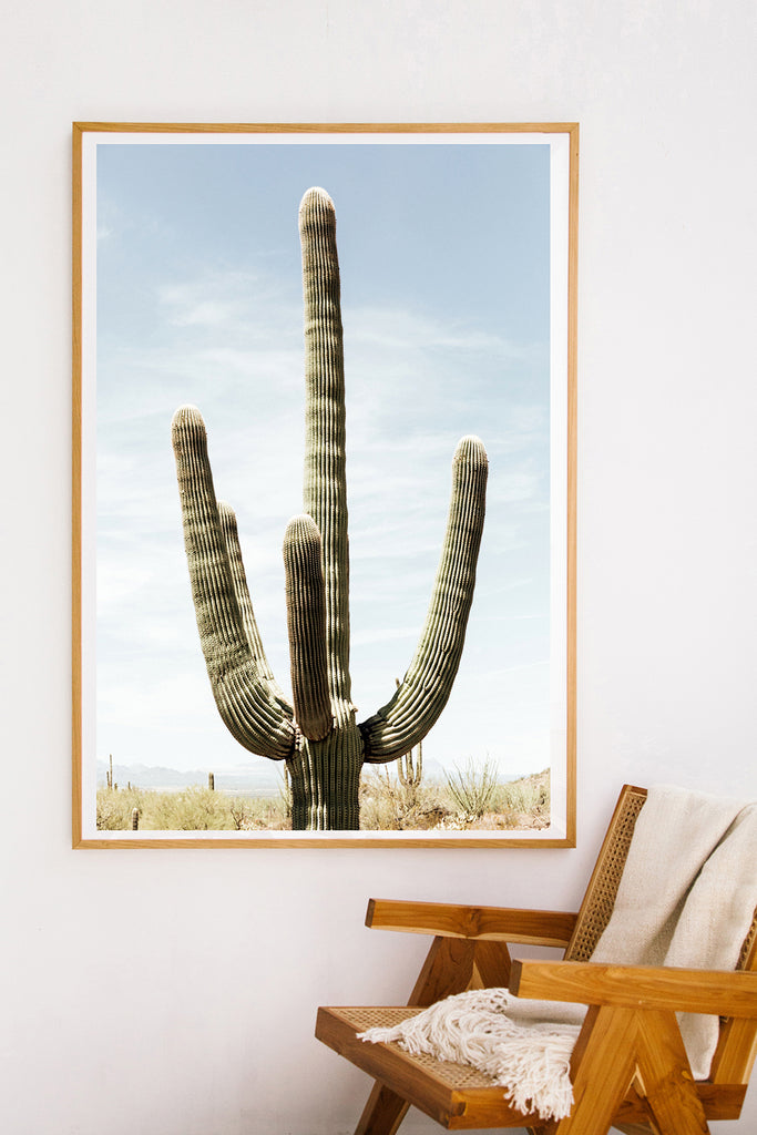 Saguaro #22