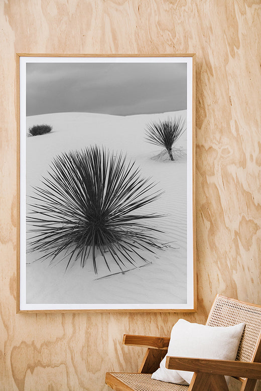 White Sands #11