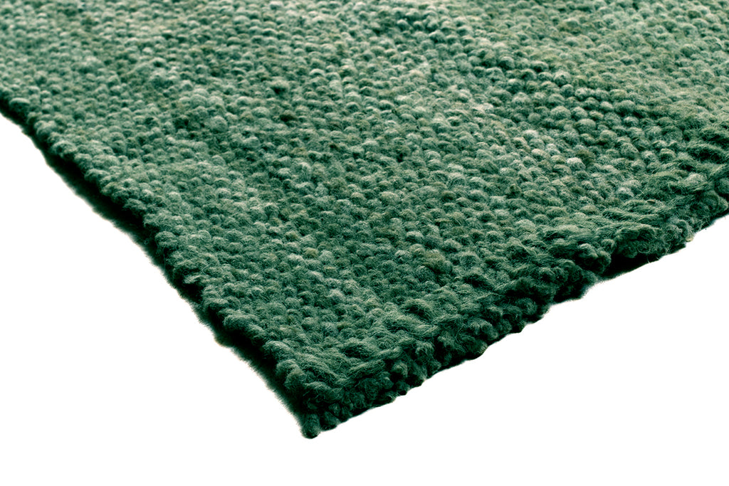 Classica | Algae