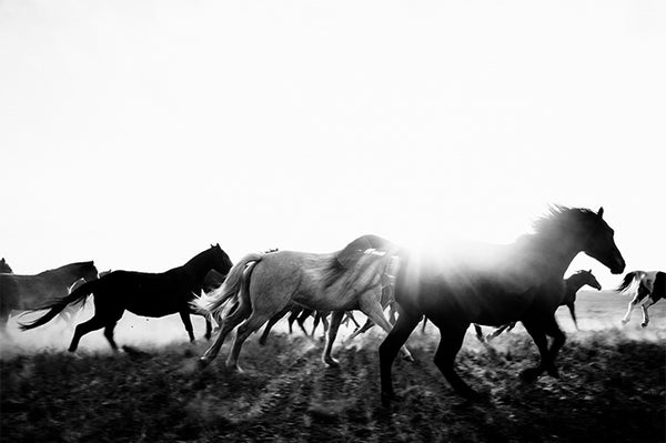 Collective Journey