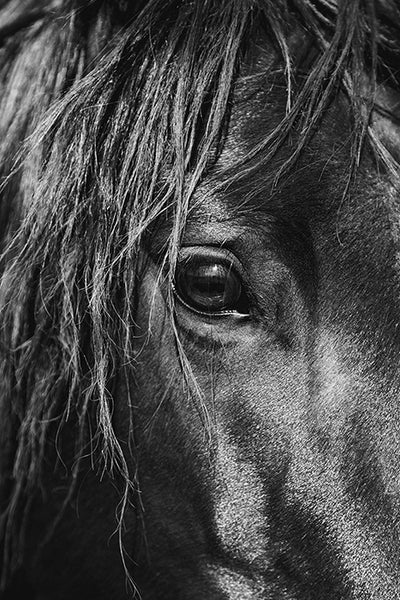 Deep Glance