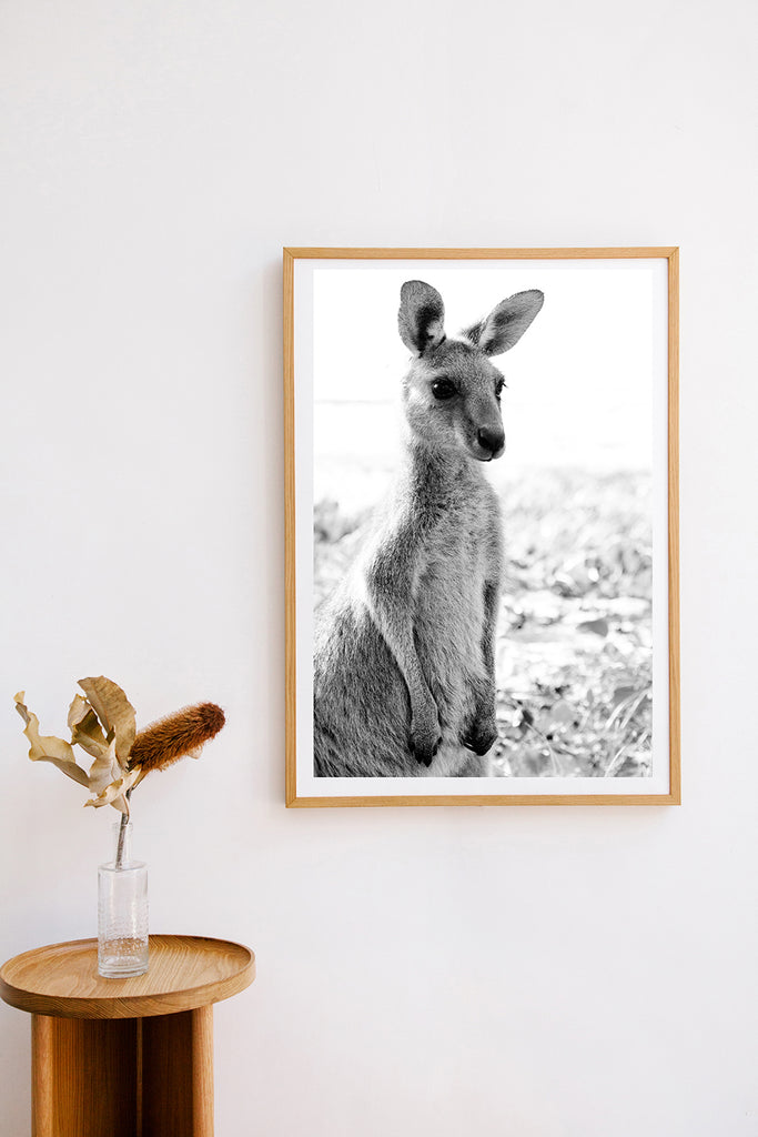 Kangaroos #22