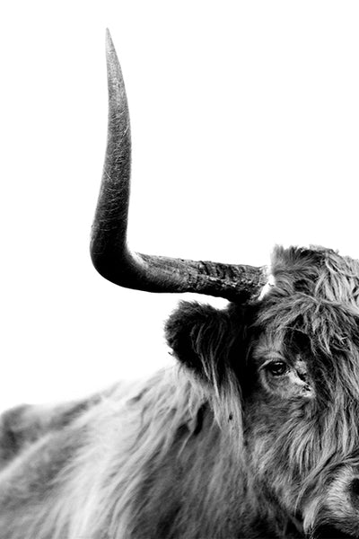 Proud B+W