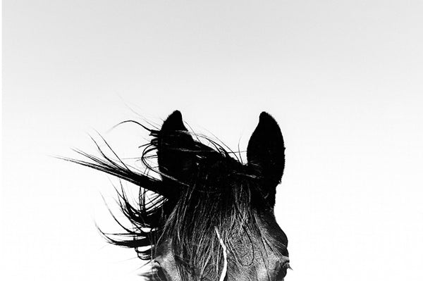 Spirit