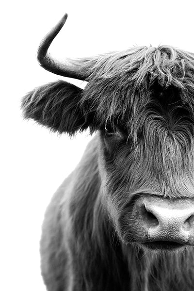 Straight Back at You B+W
