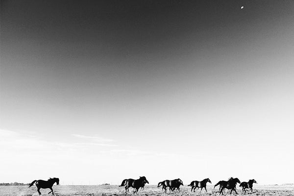 The Horizon