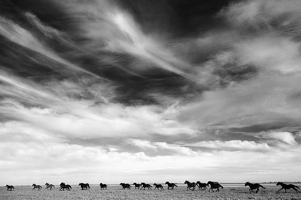 Running Free